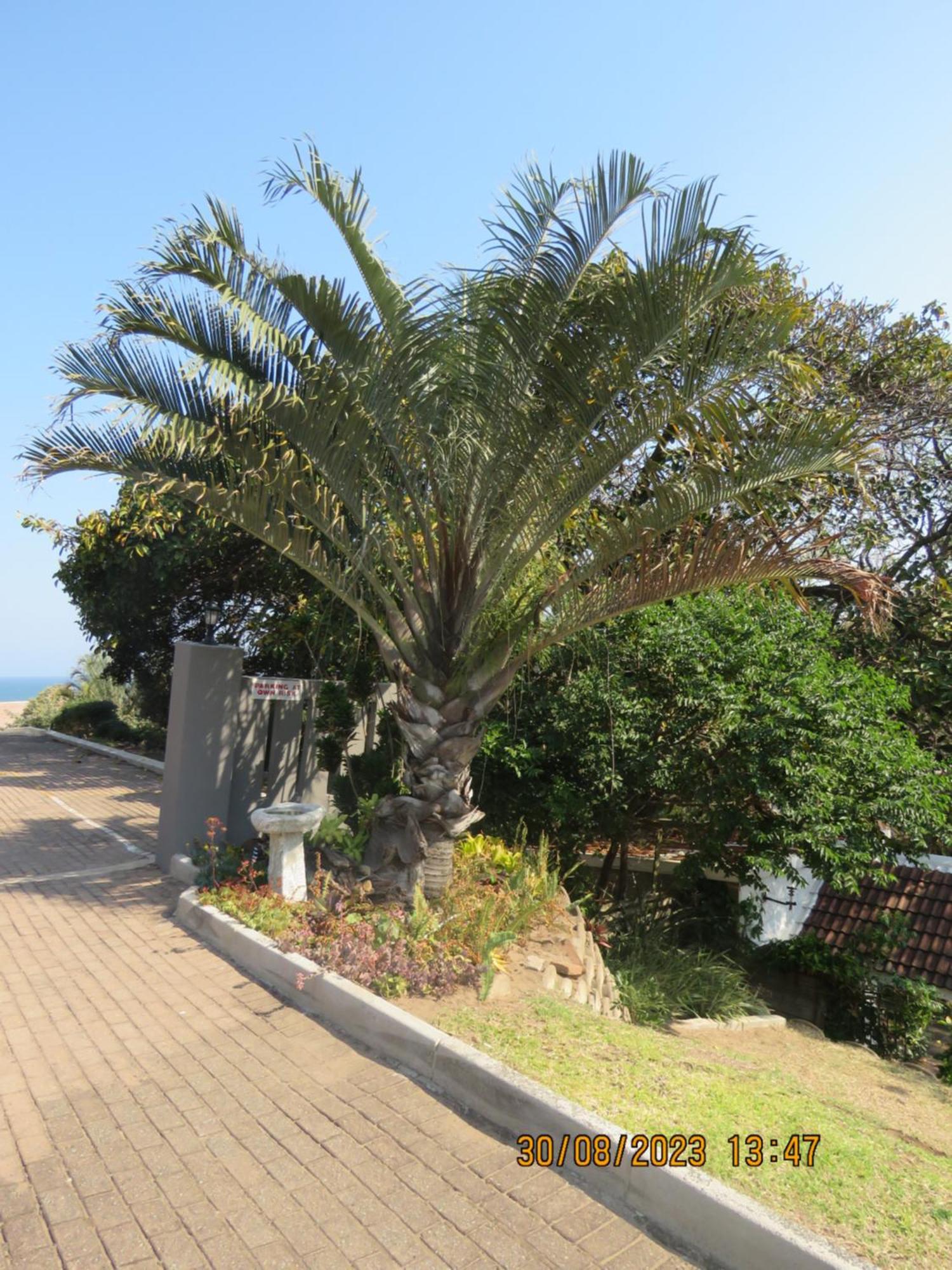 Beachcomber Bay Guest House In South Africa Margate Exterior photo